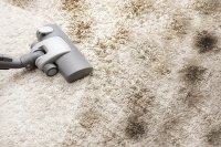 Як почистити брудний килим