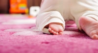 Як користуватися  ваніш для чистки  килимів