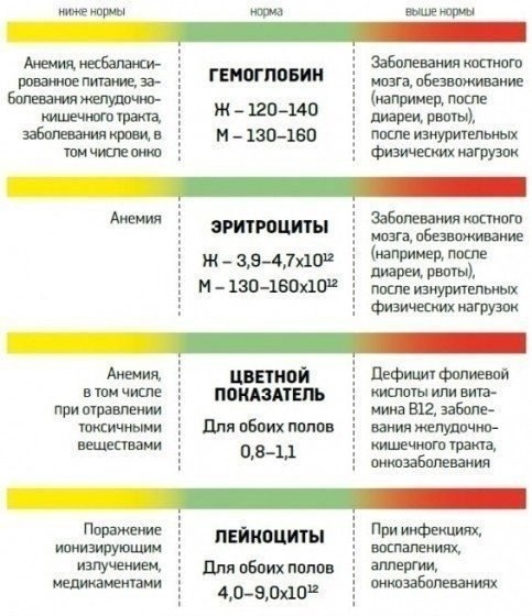 Як розшифрувати аналіз крові