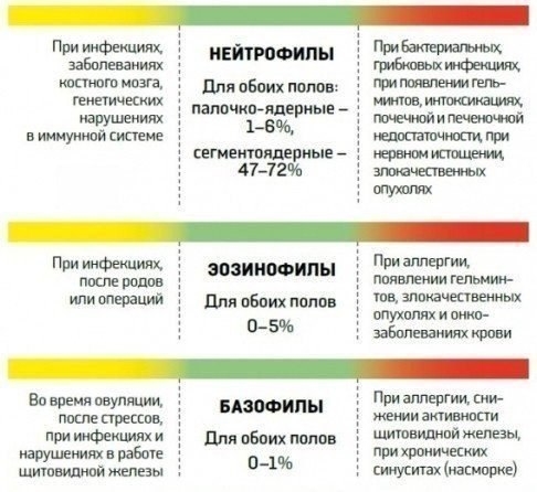 Як розшифрувати аналіз крові