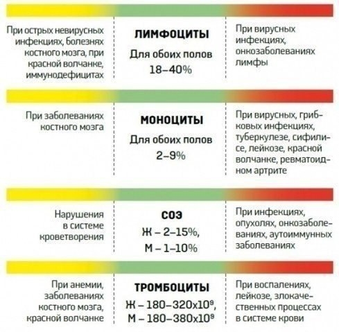 Як розшифрувати аналіз крові