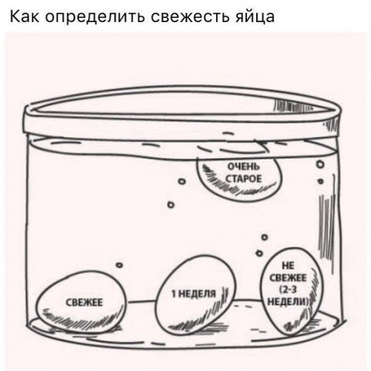 Как определить свежесть яйца. А вы знали это?